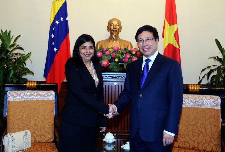 Вьетнам и Венесуэла расширяют сотрудничество на международных форумах - ảnh 1